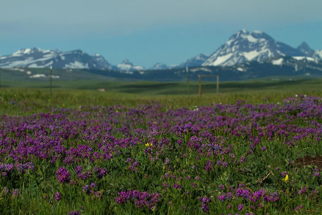 Lodgepole Gallery Браунинг Екстериор снимка